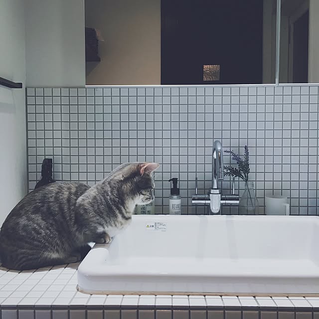 Asamiさんの実例写真