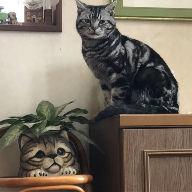 Kaoruさんの実例写真