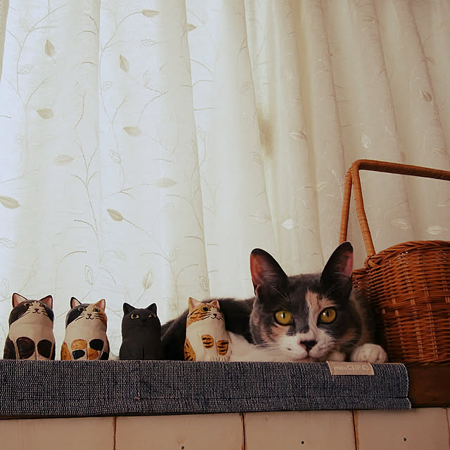 tomo1220さんの実例写真