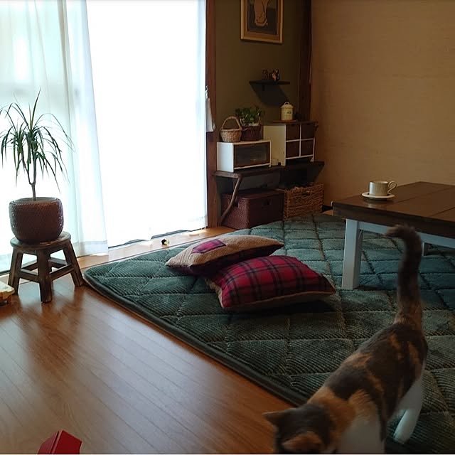 fukuさんの部屋