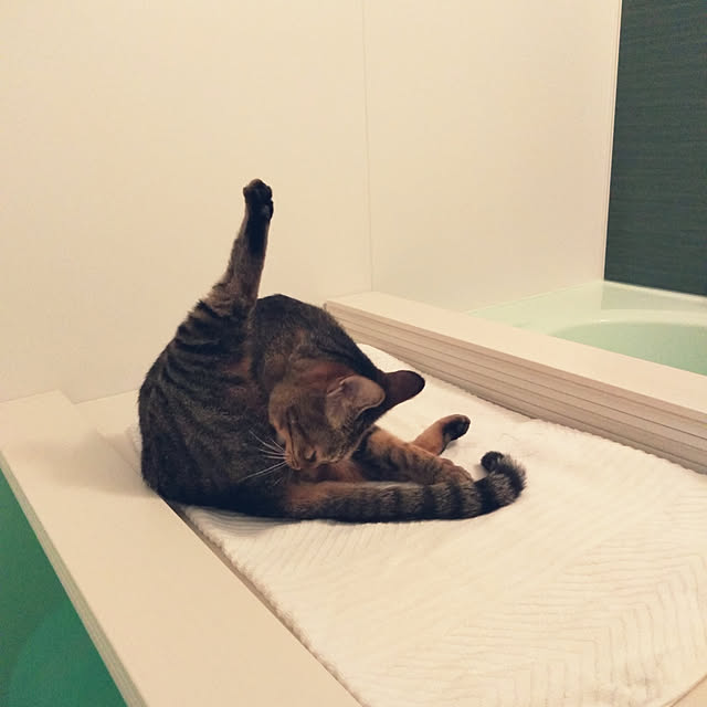 futukoさんの実例写真