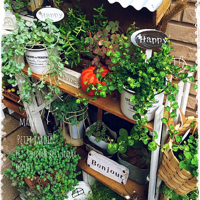 mapleさんの実例写真