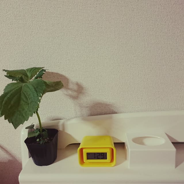 ideamさんの実例写真