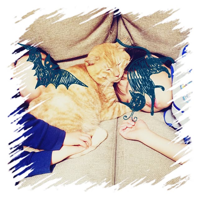 chiimalさんの実例写真