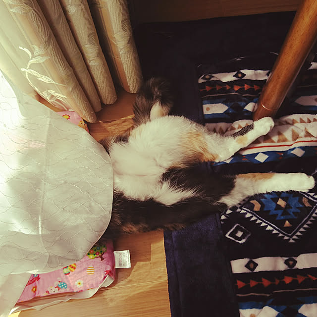 honey_beemtさんの実例写真