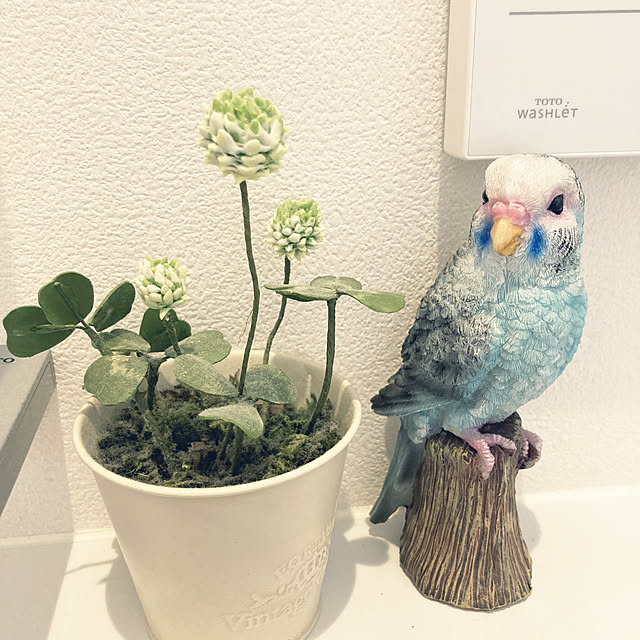 Nさんの実例写真