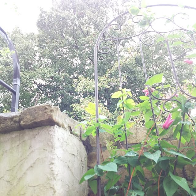 popoさんの実例写真