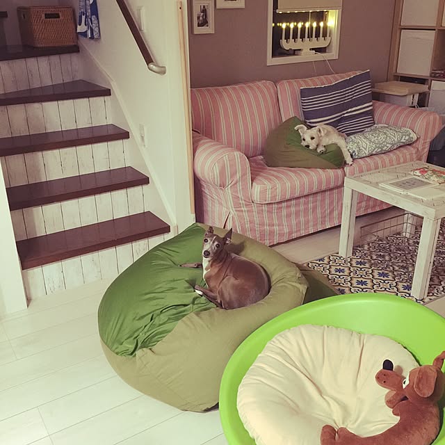 suzyさんの実例写真