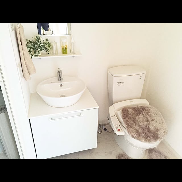 バス/トイレ/ナチュラルのインテリア実例 - 2016-05-30 22:36:54