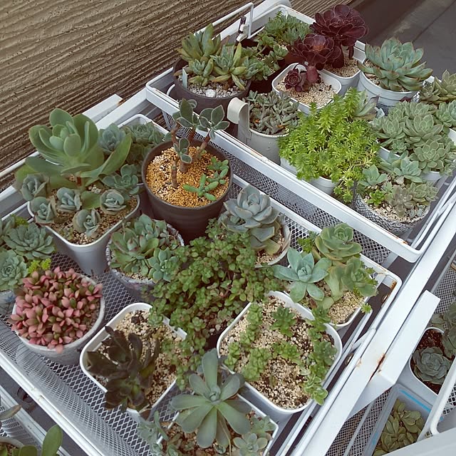 meiさんの部屋