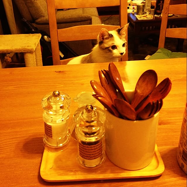 haruさんの実例写真