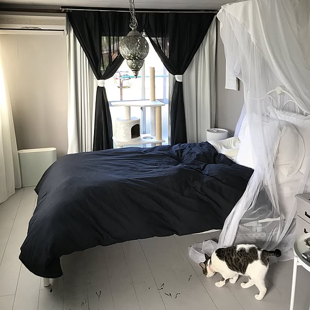 Shihoさんの実例写真