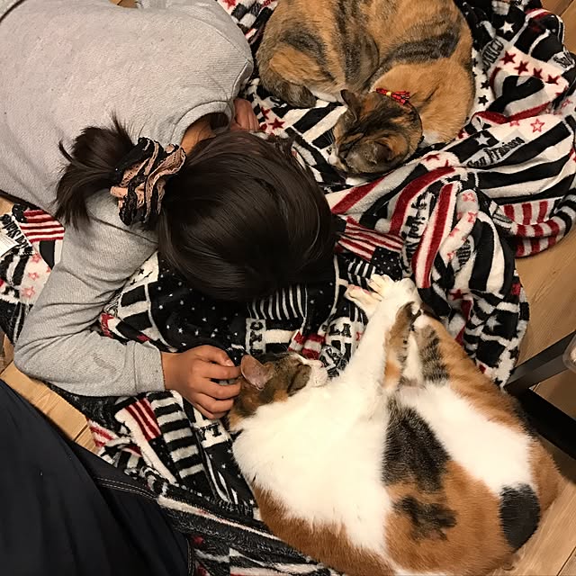 Nozomiさんの実例写真