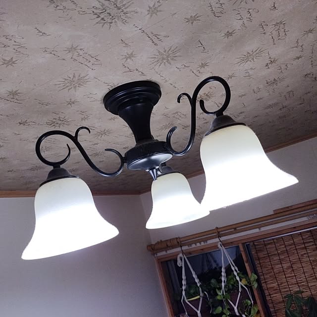 shinchaさんの実例写真