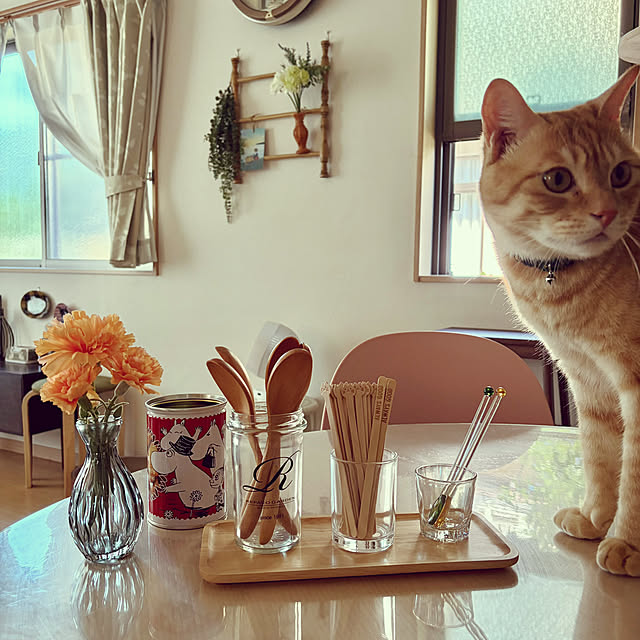 chiiさんの実例写真