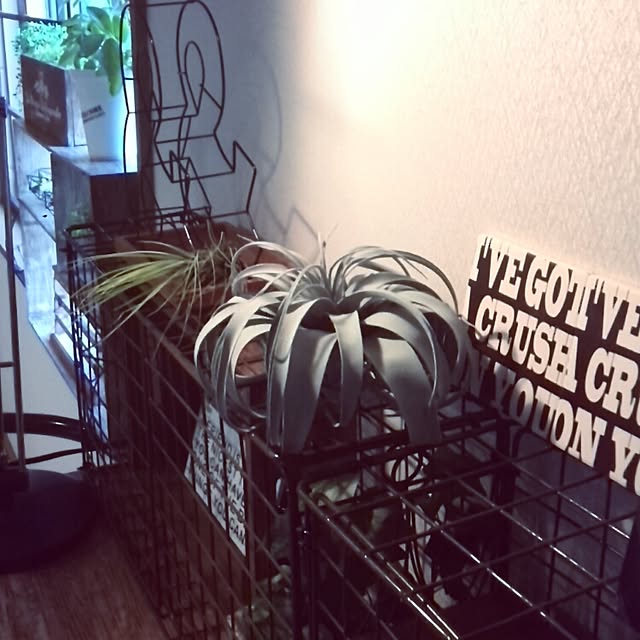 kさんの実例写真