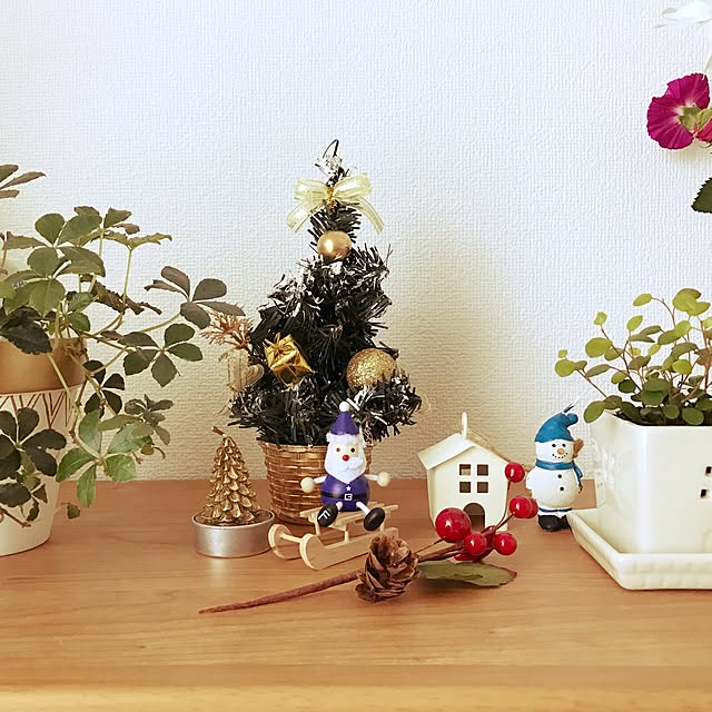 shokoさんの実例写真