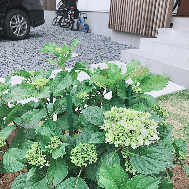 kossyさんの実例写真