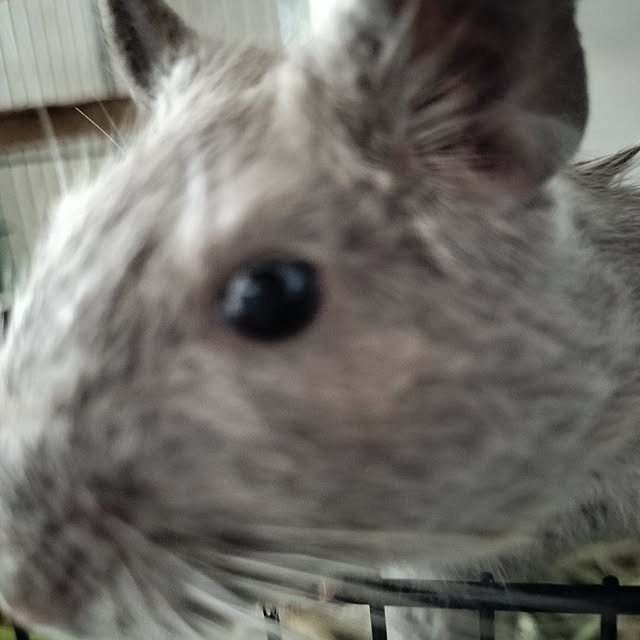 minmiさんの部屋