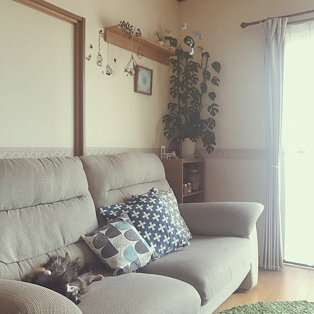 yukaさんの実例写真