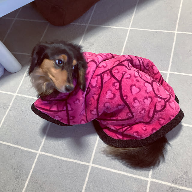 Chikuwaさんの実例写真