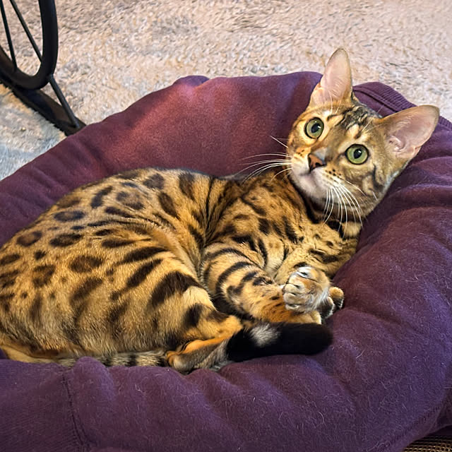 tututu0204さんの部屋