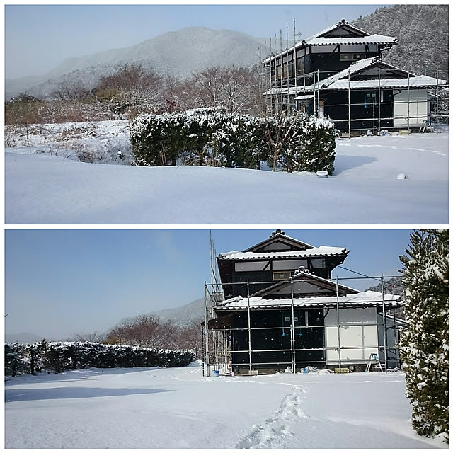 tamiyo525さんの実例写真