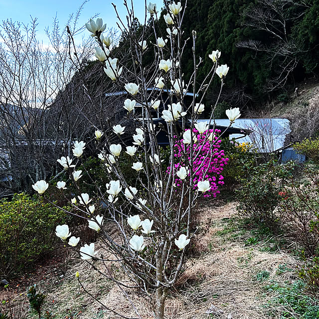 kanaさんの実例写真