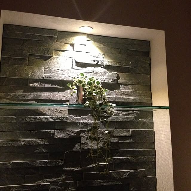 dannboko10さんの実例写真