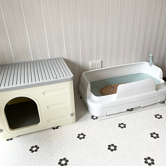 sugarcookieさんの部屋