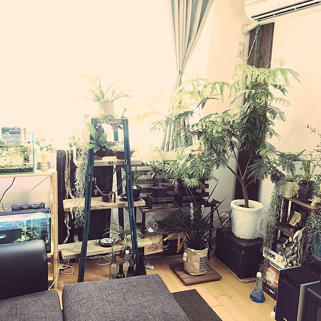hissacooさんの実例写真
