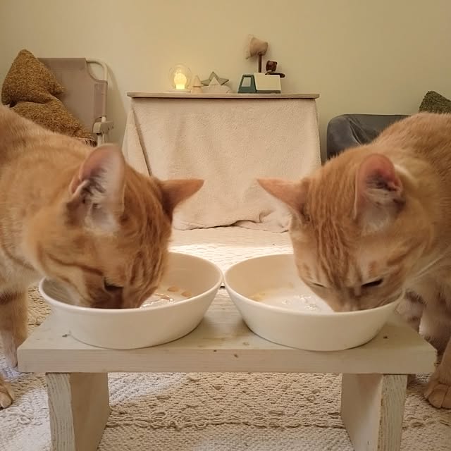mayutan.さんの実例写真