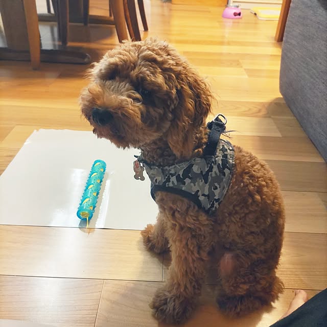 chokocreamさんの実例写真