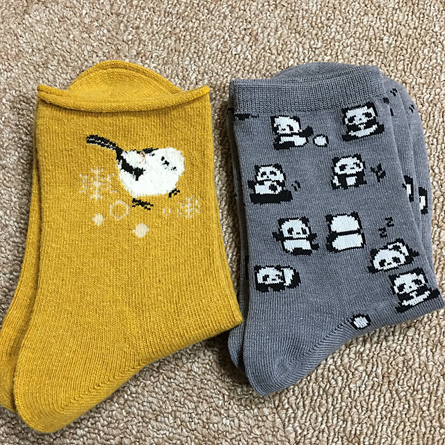 koroさんの実例写真