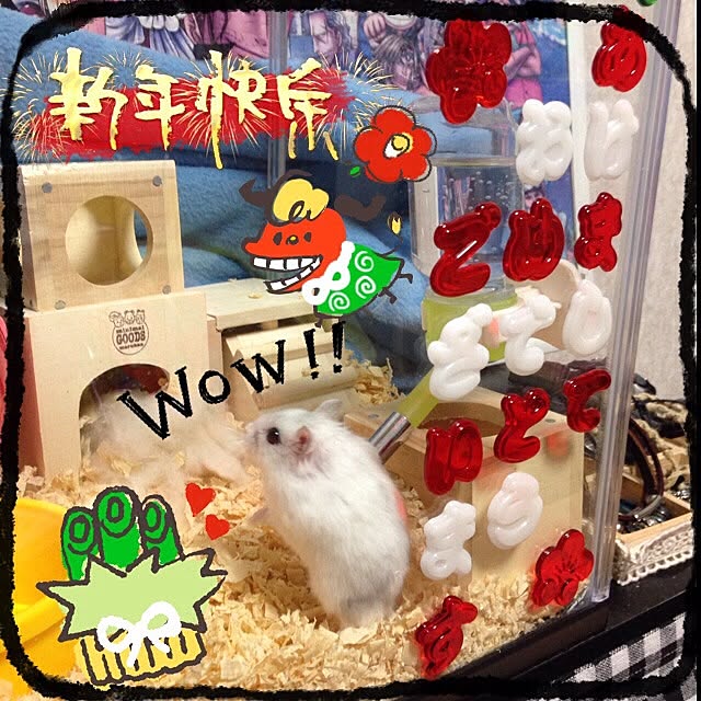 M-kaさんの実例写真