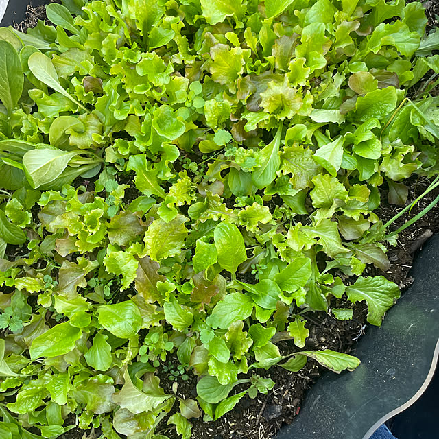 yunroomさんの部屋