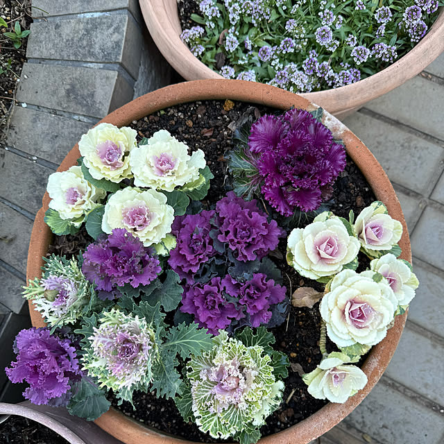 mamizaさんの実例写真