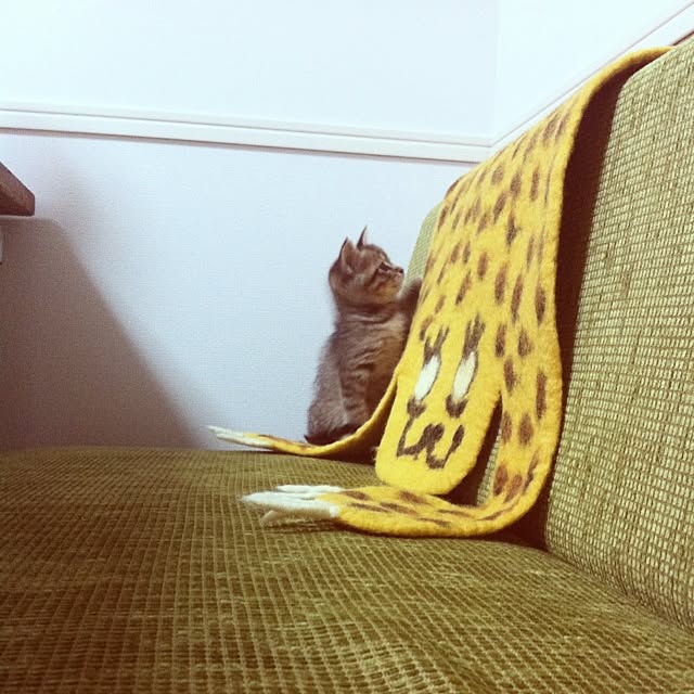 7878さんの実例写真