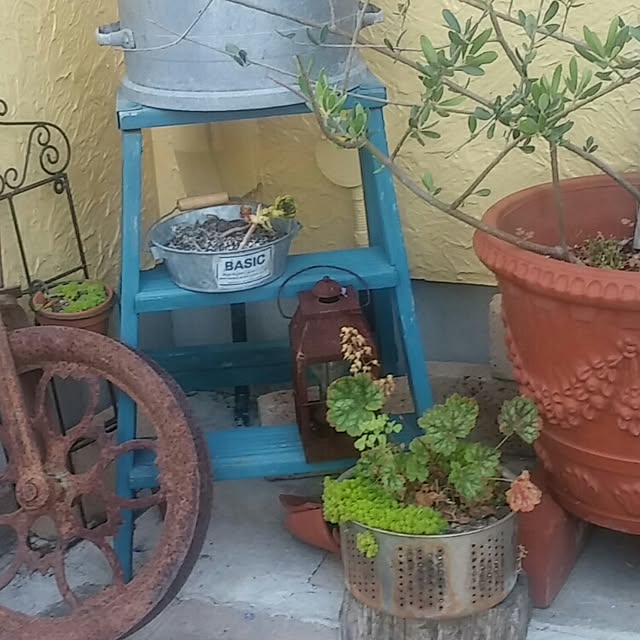 kalonji_kuuさんの実例写真