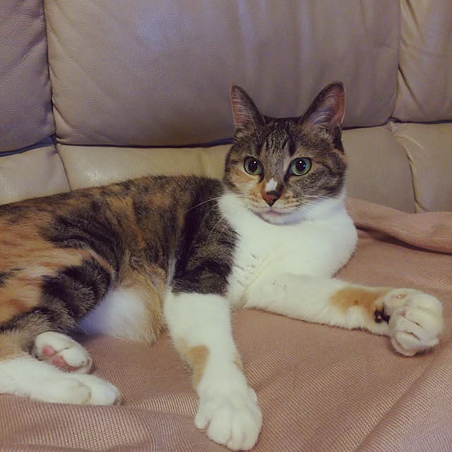 tomo1220さんの実例写真