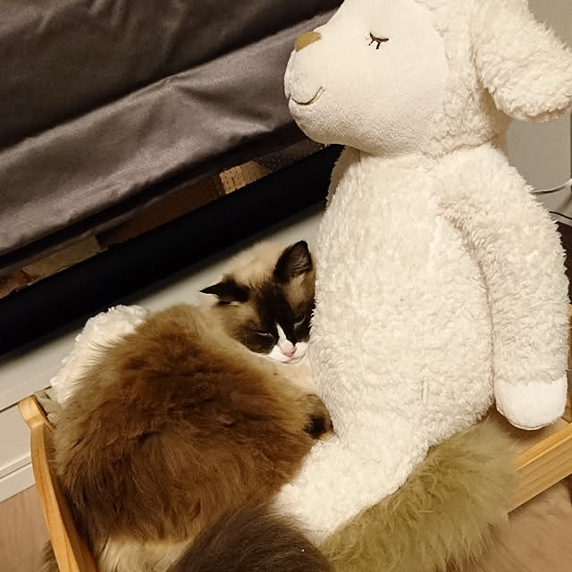 yuさんの実例写真