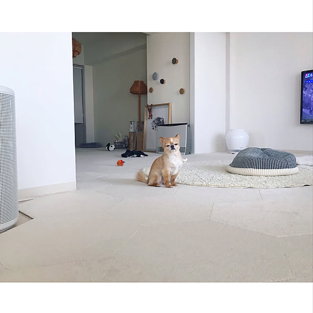 haruhinaさんの実例写真
