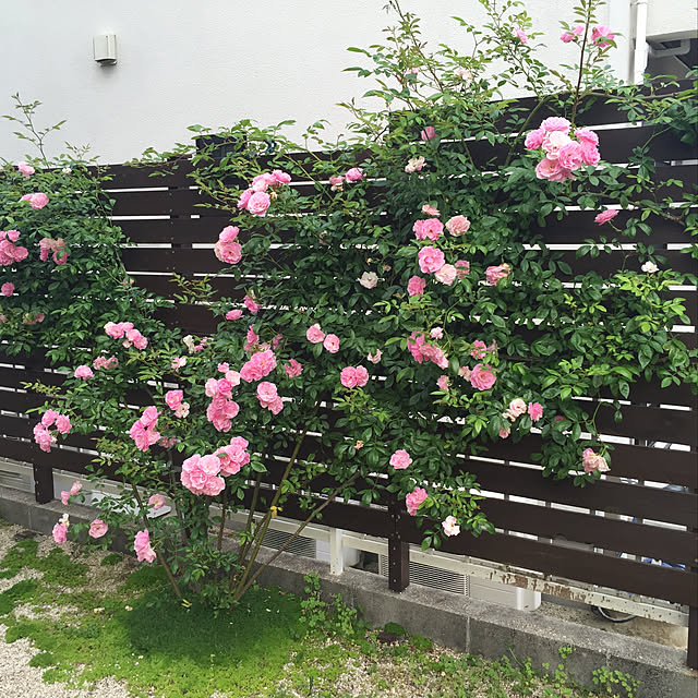 LUNAさんの実例写真