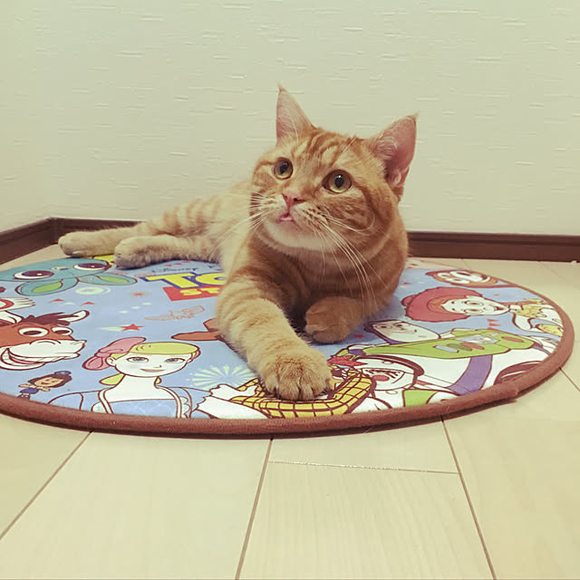 nekoさんの実例写真