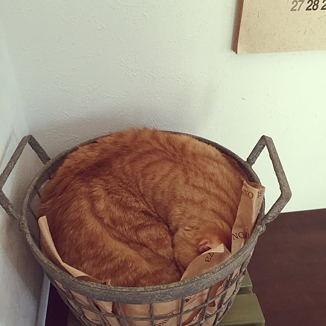 mihoさんの実例写真