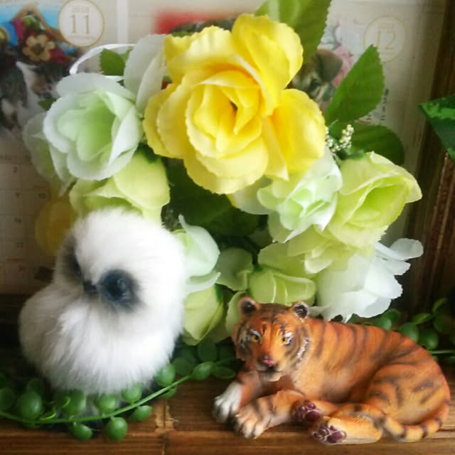 実例写真