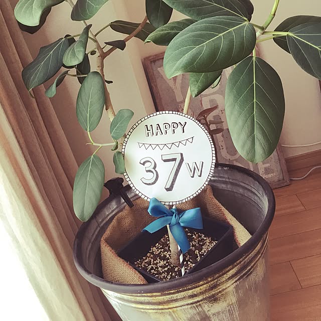 aao.yk.0208さんの実例写真