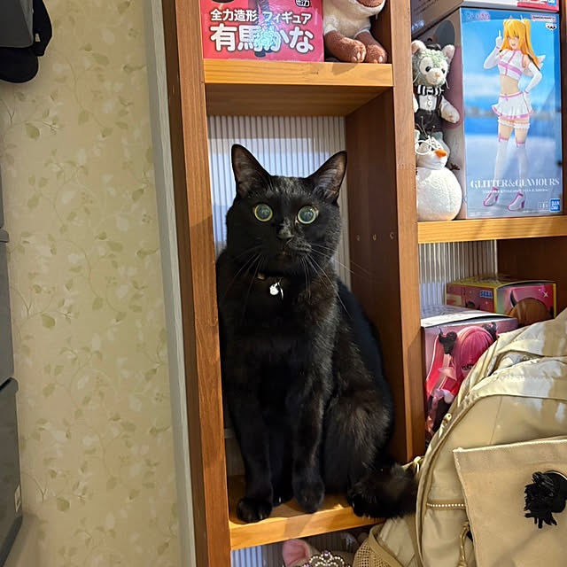TOA-80さんの実例写真