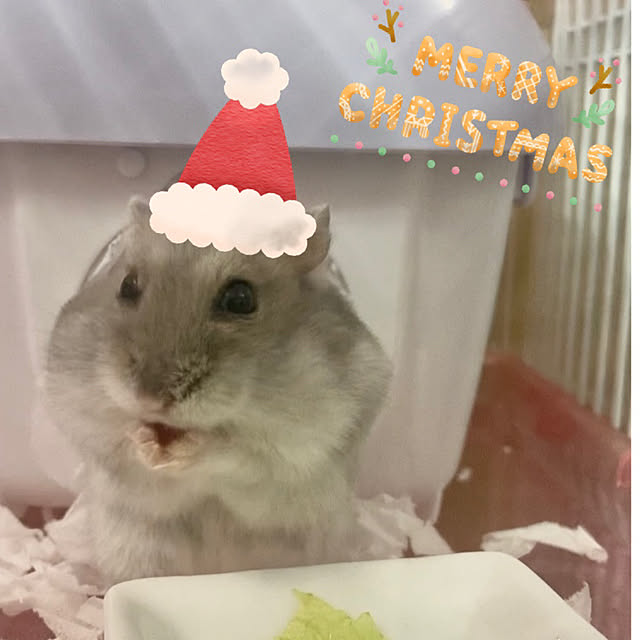 milkさんの実例写真