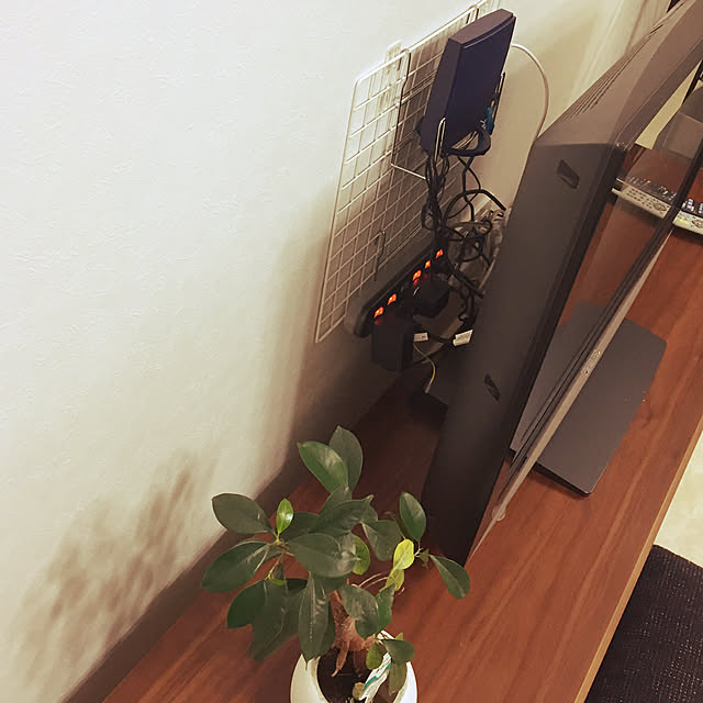 Kumimaruさんの実例写真
